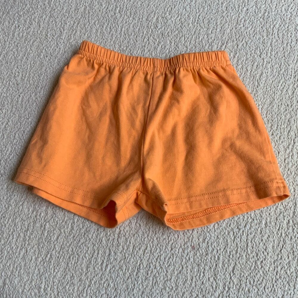Trotter‎ St. Kids Orange Knit pants size 18 mo.